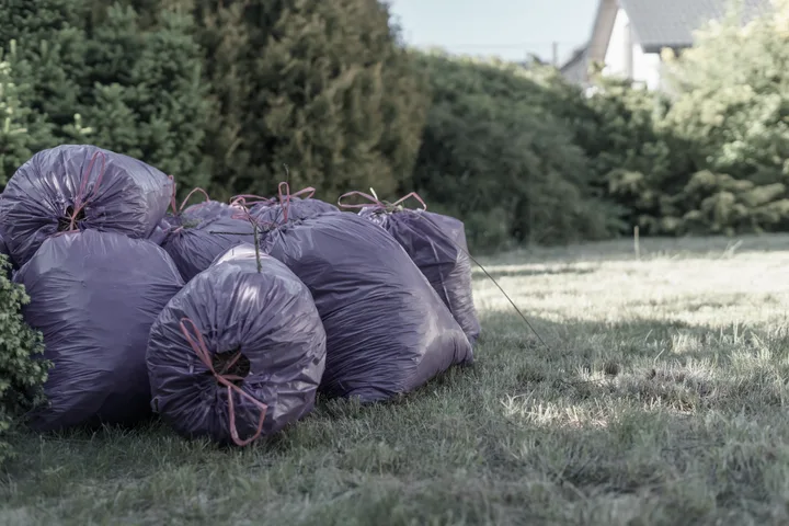Filled garden waste sacks standing on a lawn ready for collection